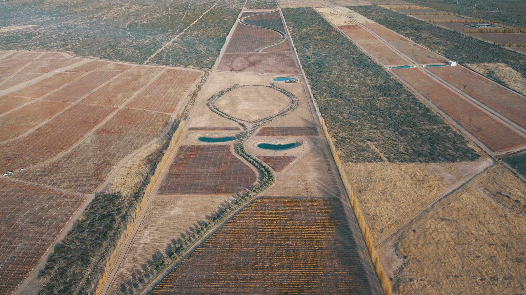 Sustainability Assessment of Trade-induced Land Transitions
